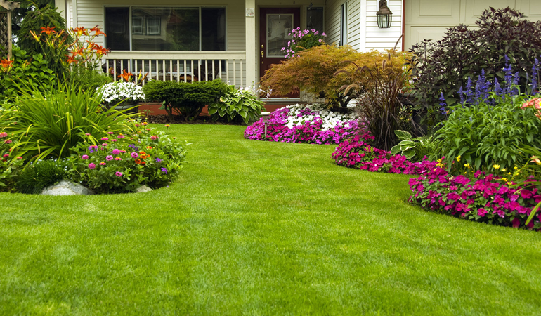 Landscape Maintenance Services