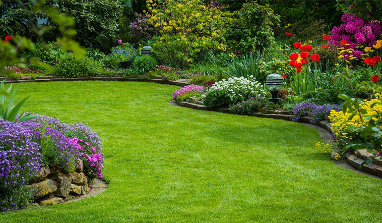 Lawn Development & Maintenance