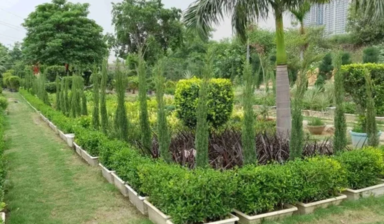 Horticulture Construction